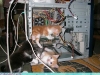 Kittens in computer