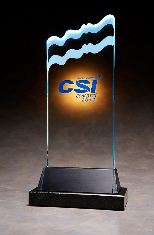 2013 CSI Award