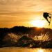pro wakeboard tour 2023 schedule